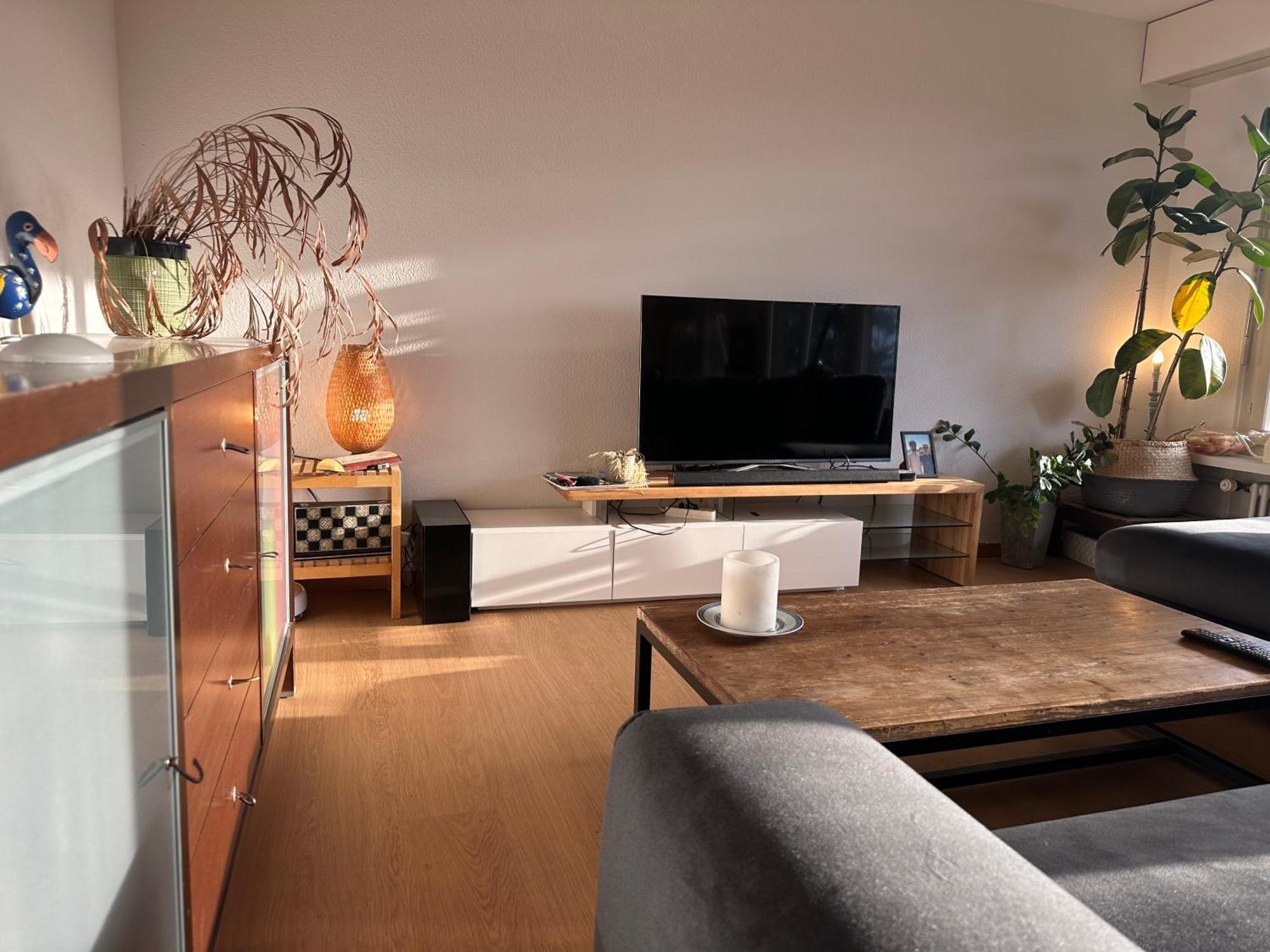 Lovely Room, 15 Min From Center, Mountain View Zurich Exterior photo