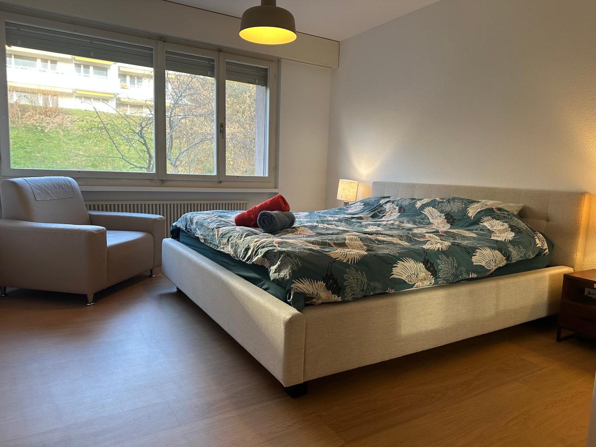 Lovely Room, 15 Min From Center, Mountain View Zurich Exterior photo